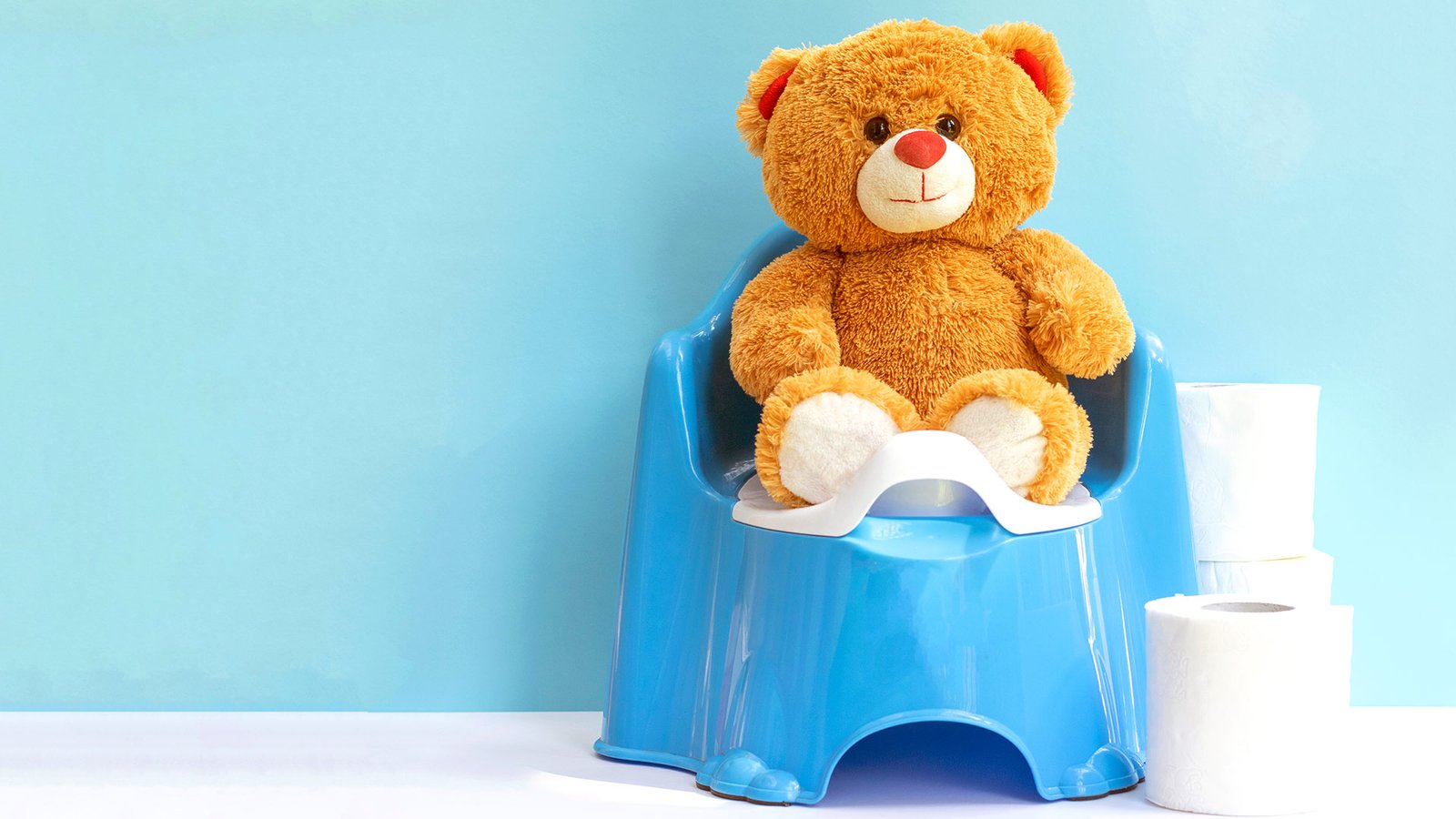 Teddy Bear on the potty