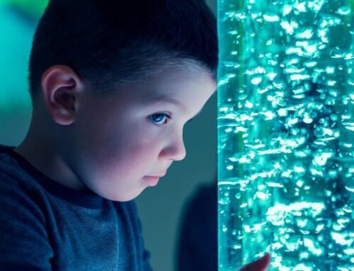 Why Your 2-Year-Old Child is Smarter Than AI
