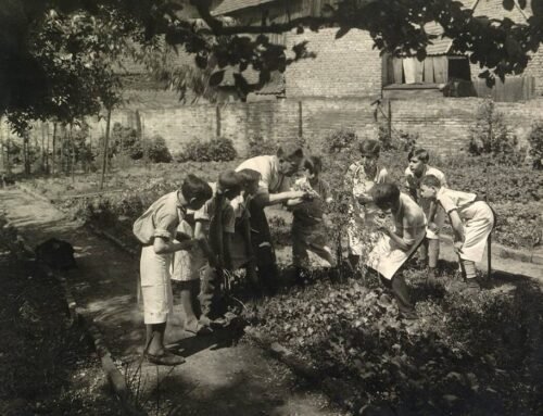 From Lycée Philosophy to a Santa Rosa Garden: Why I am a “Children’s Gardener”
